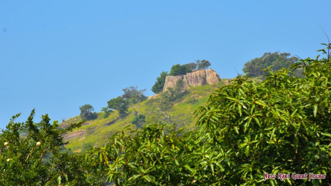New Rasi Guest House Dambulla Ngoại thất bức ảnh